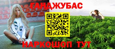 прущие крисы Апшеронск